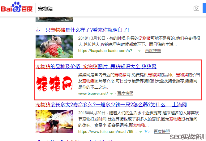 SEO培训案例：万变不离其宗的SEO排名 ，细节、思路、方法！